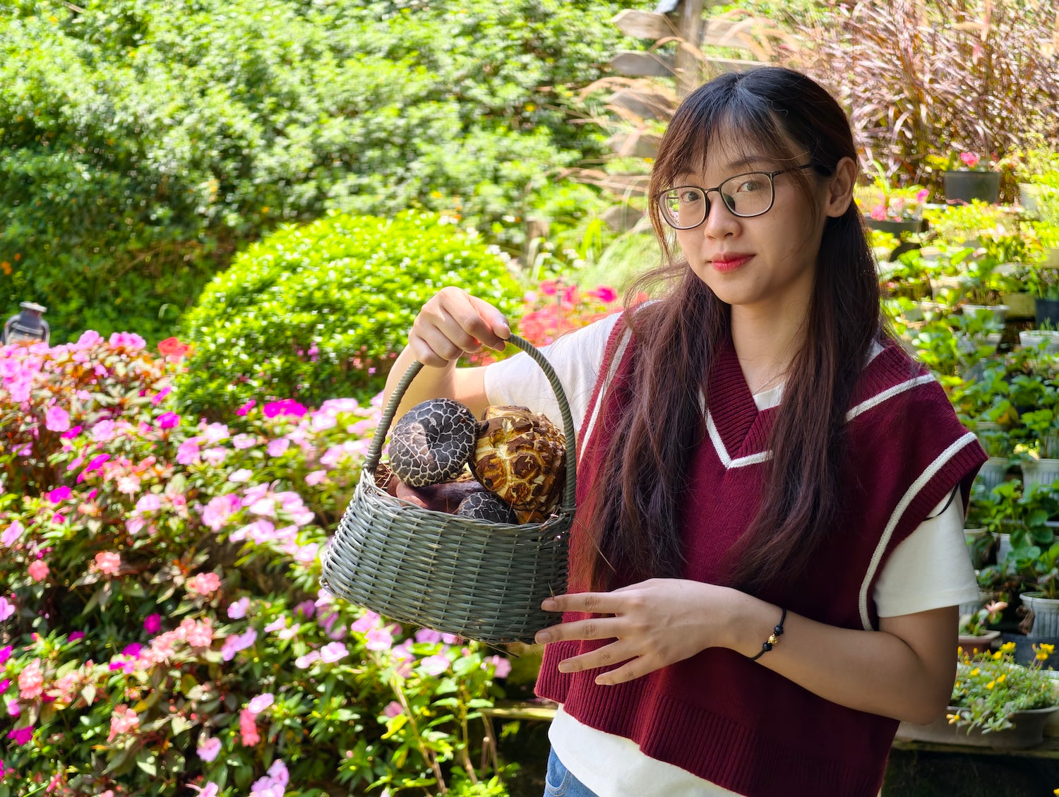 Tour hái nấm Aloha