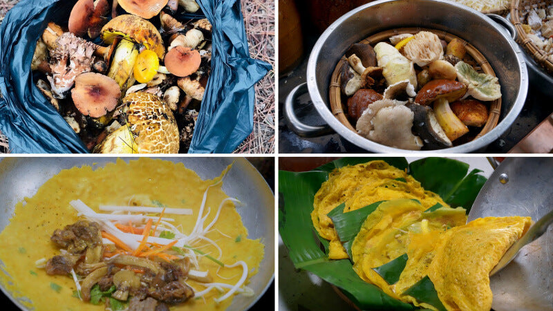 Tour hái nấm Aloha